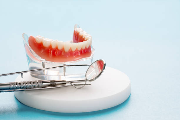 Best Teeth Whitening  in Plantation, FL